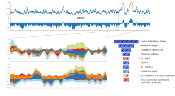 PhageBoost output: prophage probability along a genome, with the contributing biological features ranked at right.