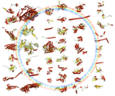 PhiAlpha illustration of predicted phage protein structures.